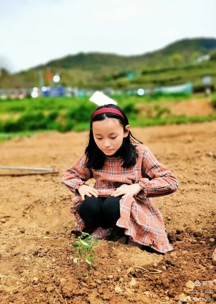朝花夕拾—播种希望